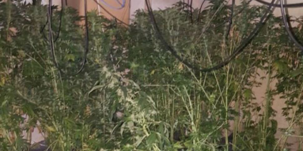 Two arrested over cannabis sei...