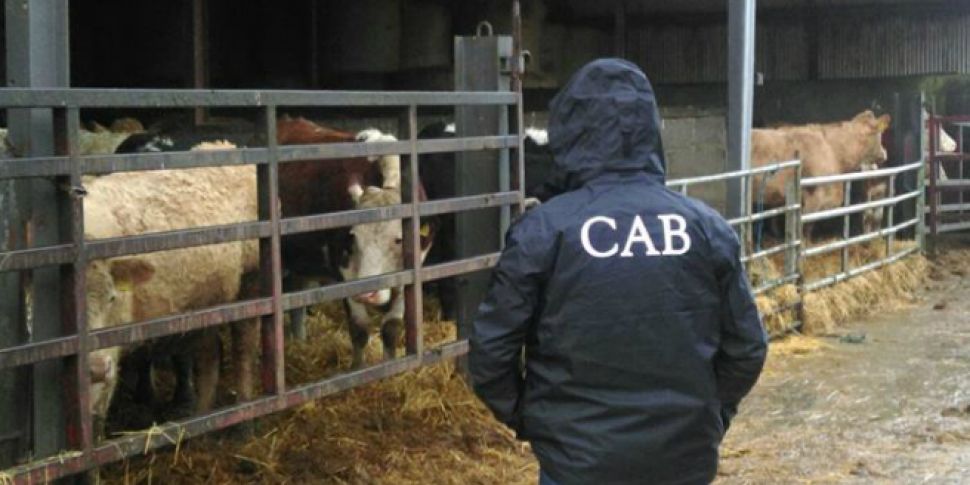 125 cattle seized from Kilkenn...