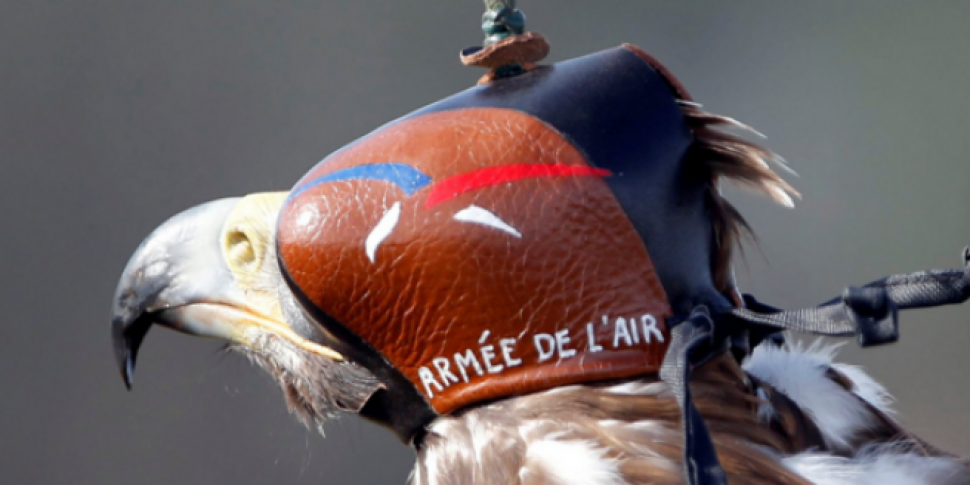 France to deploy eagles agains...