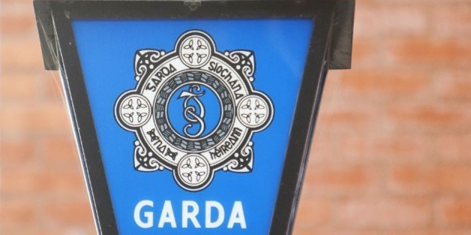 Gardai appeal for help in trac...