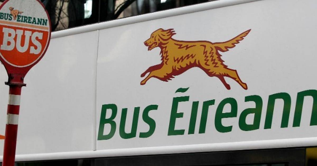 Bus sales eireann dog