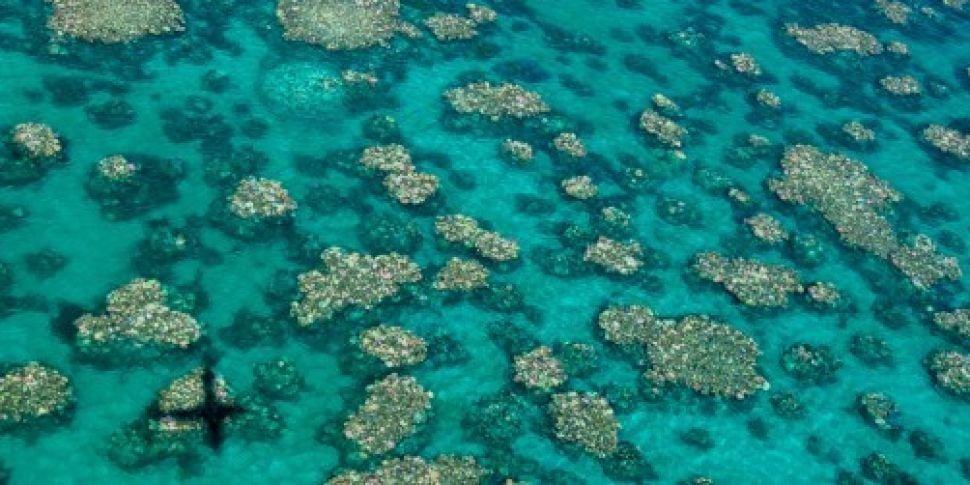 Great Barrier Reef under &...