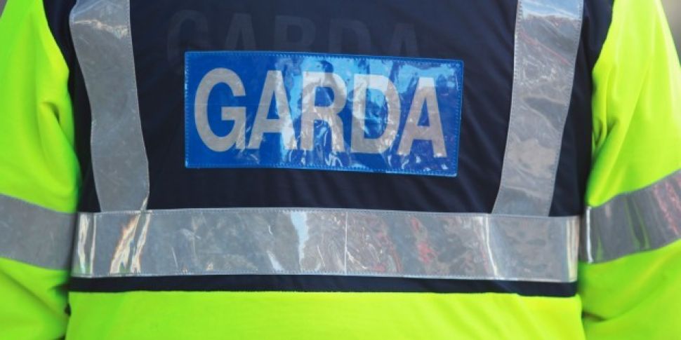 Gardaí appeal for witnesses fo...