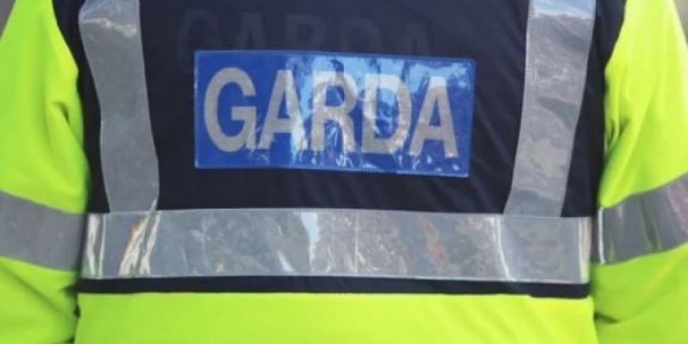 Gardaí appeal for witnesses to...