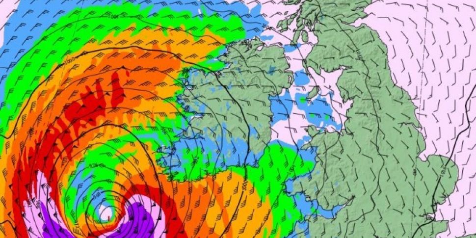 Fallen trees causing disruptio...