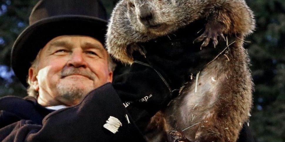 Phil the groundhog signals six...