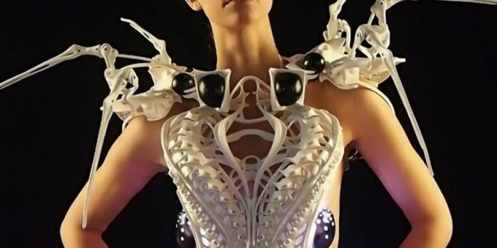 Spider Dress: The Future of Fa...