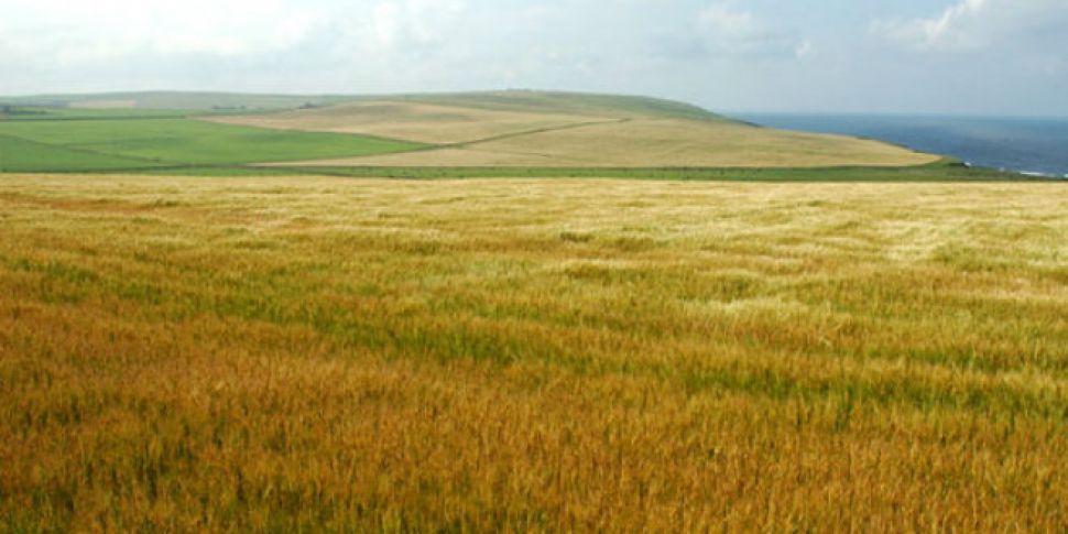 Beers, building and barley