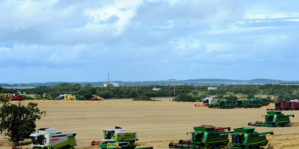 Hay and Silage