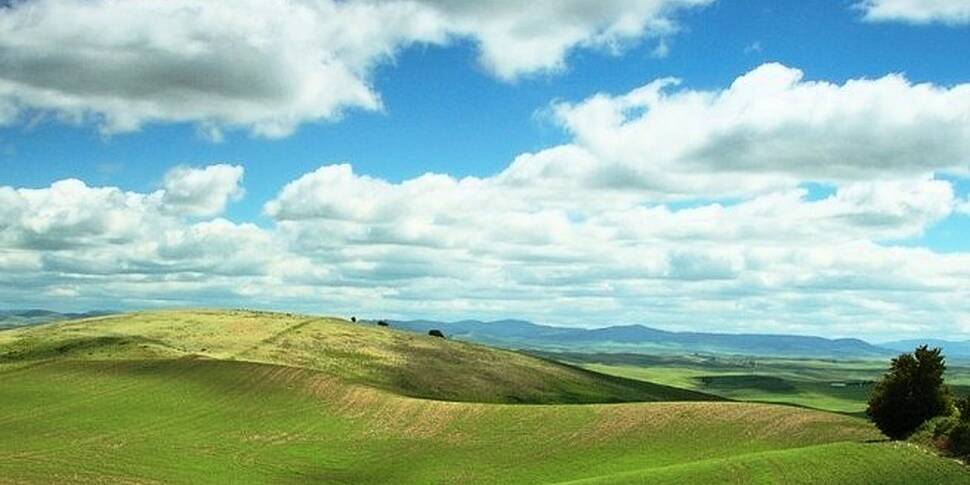 Field Names of a Country