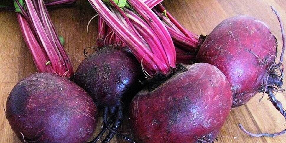 Beetroot - love it or hate it?...