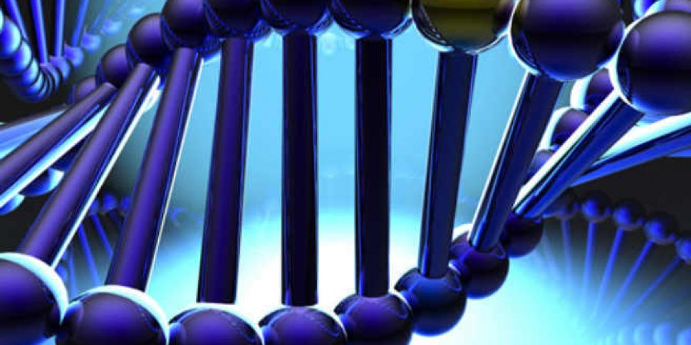 Epigenetics: turning our genes...