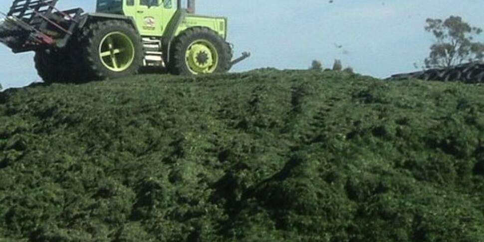 Silage season