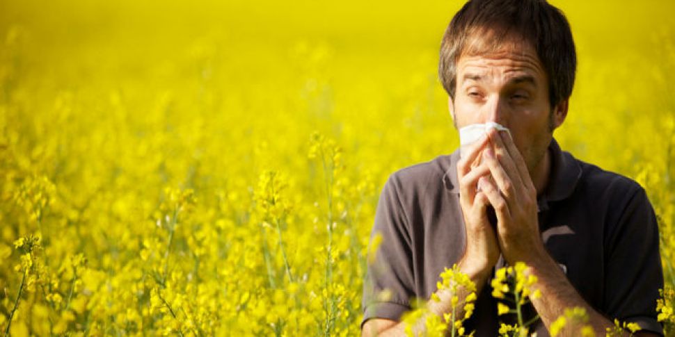 How to survive Hay Fever seaso...