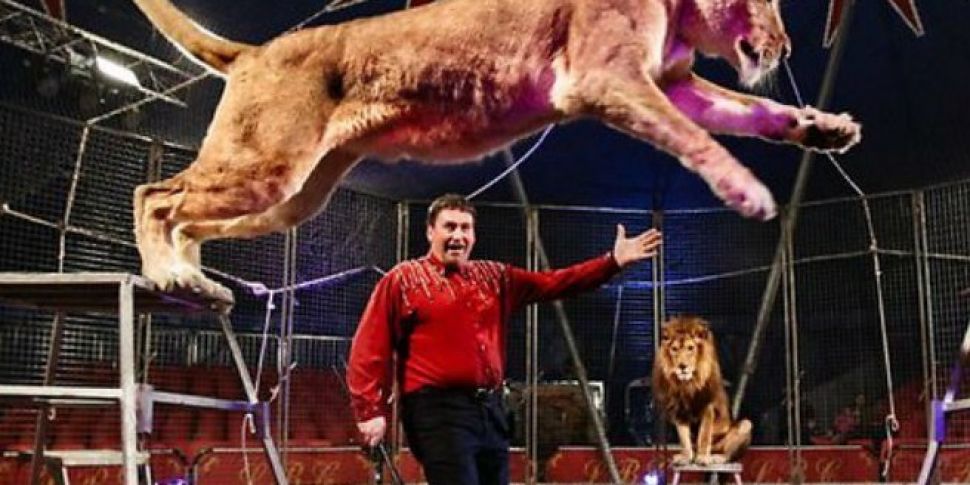 Circus crisis in Mexico and Cu...