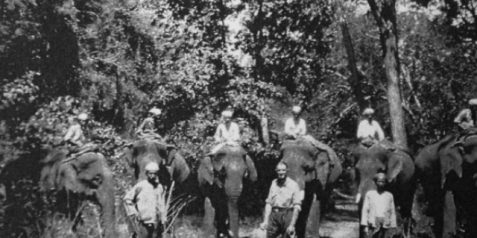 The Elephants who helped save...