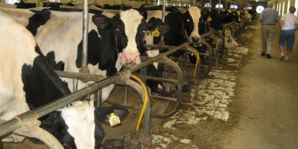 Special focus on Dairy Farms