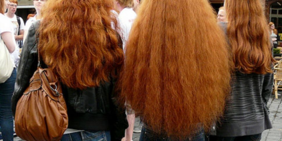 Сколько живут рыжие. Длинные рыжие волосы. Рыжие люди. Ирландцы цвет волос. Волосы до пят.