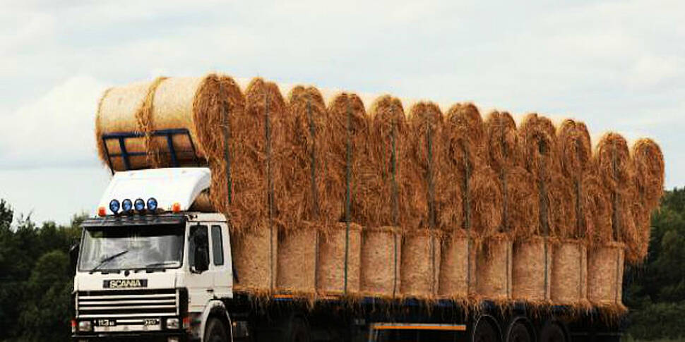 Farming: Measuring silage qual...