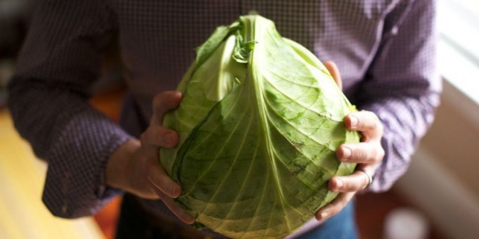 Farming: Giant Brussels Sprout...