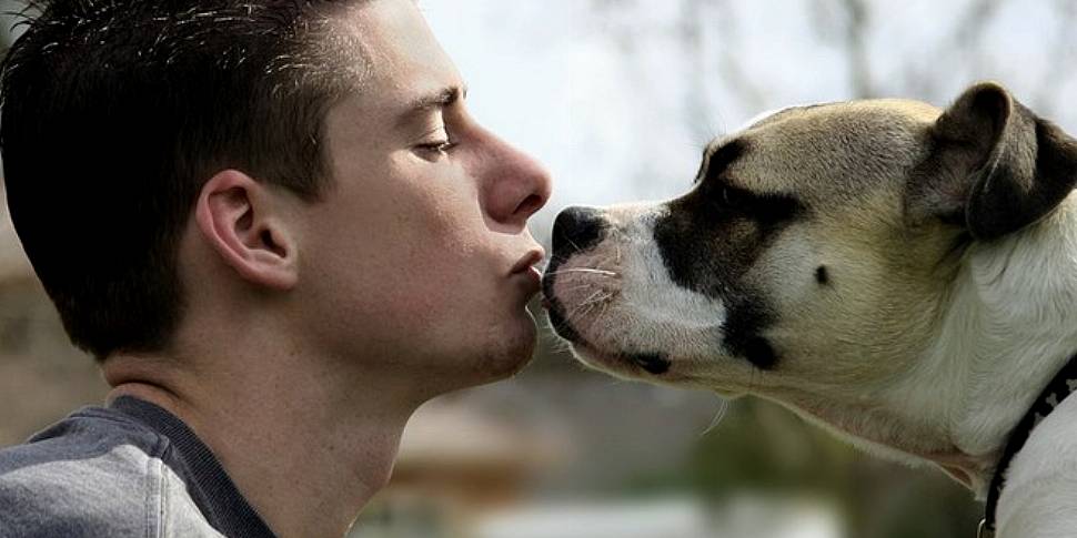 Do women prefer men with dogs?