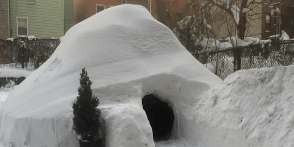 The Brooklyn Igloo