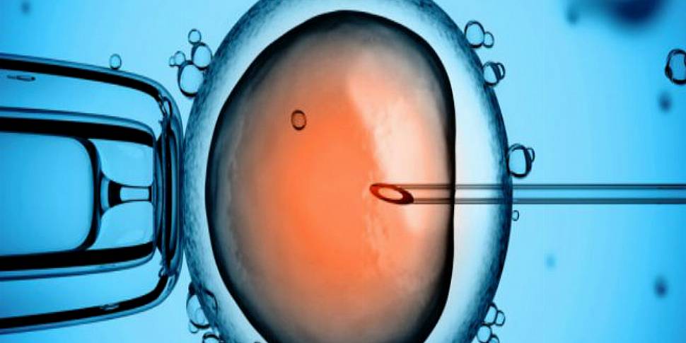 How does IVF work?