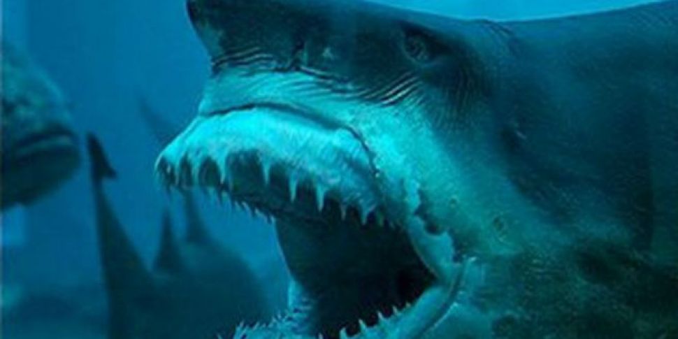 The Epic History of the Shark