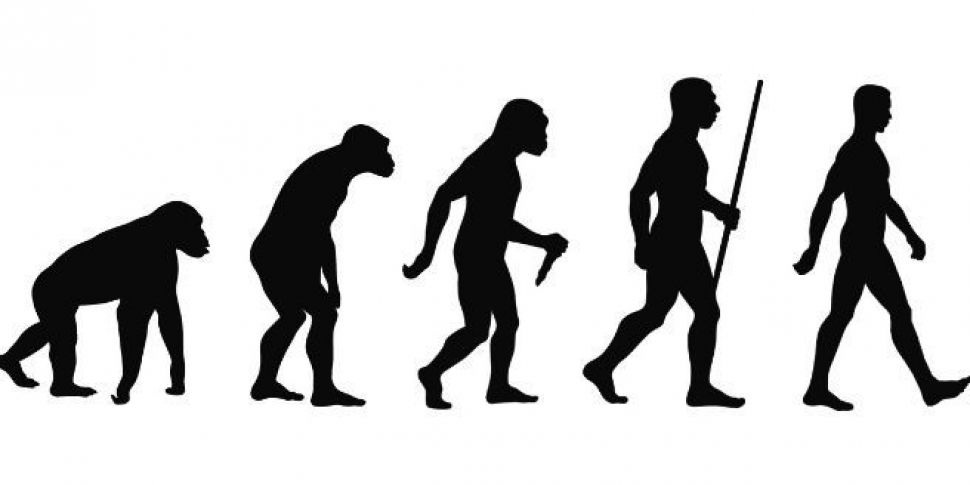 The evolution of how we move