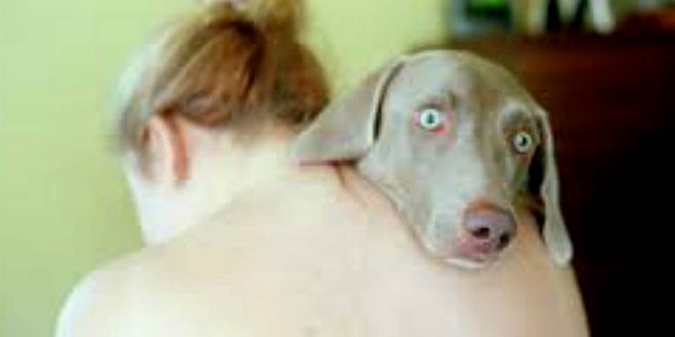 Hugging your dog: an ill-advis...