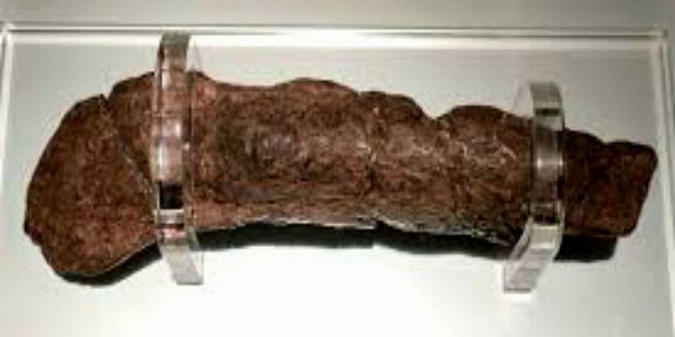 The 1,000 Year Old Viking Turd