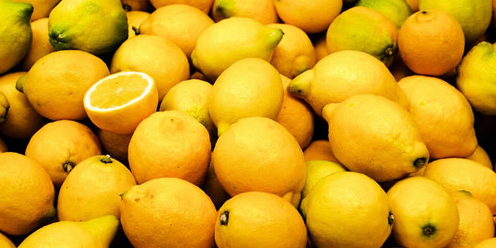 Around The World: Lemon shorta...