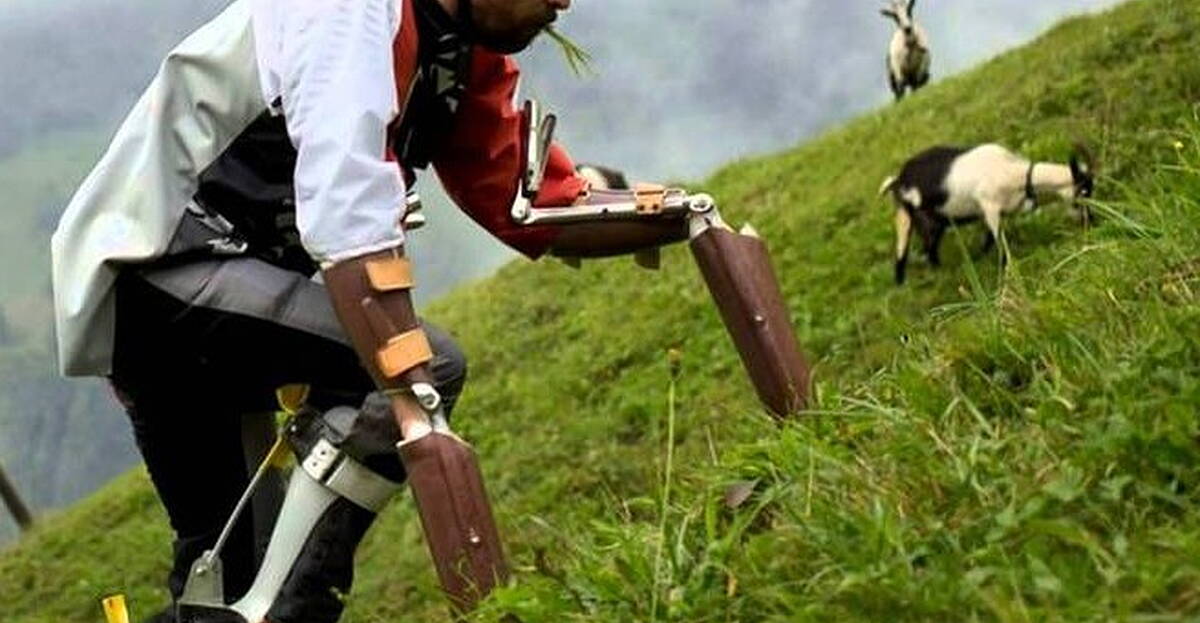 Thomas Goat GoatMan: Thomas Thwaites on living as a goat for a week | Newstalk