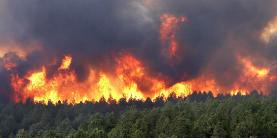 Should we let Wildfires burn?