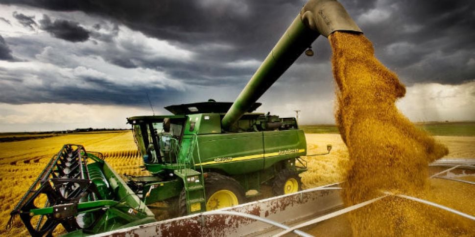 Farming: The grain harvest is underway | Newstalk