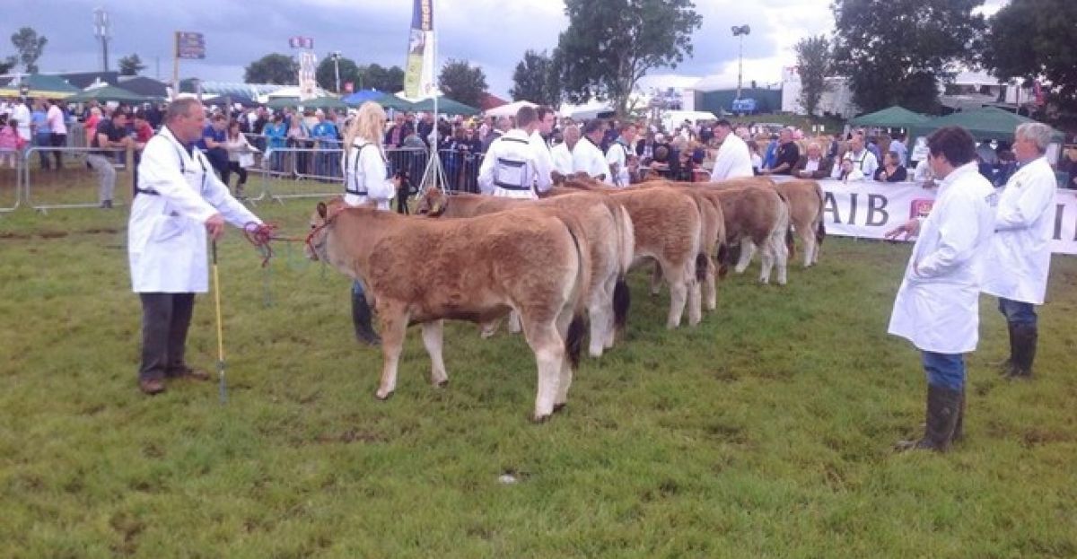 What makes agricultural shows so popular? | Newstalk