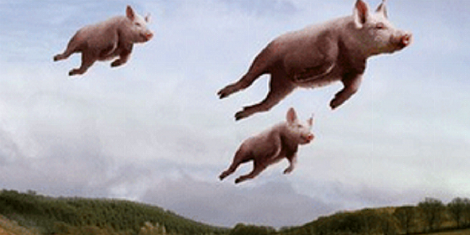 Farming: Pigs Really Do Fly