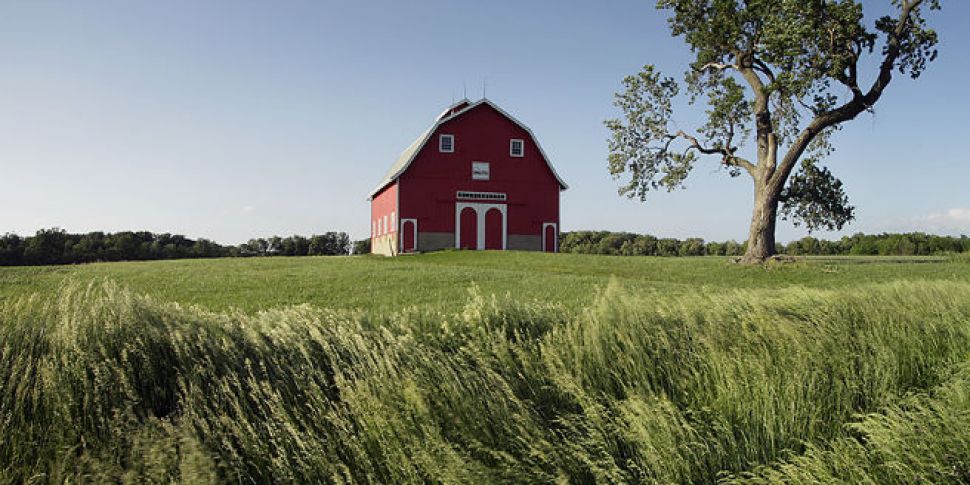 Farming: Will Trump make Ameri...