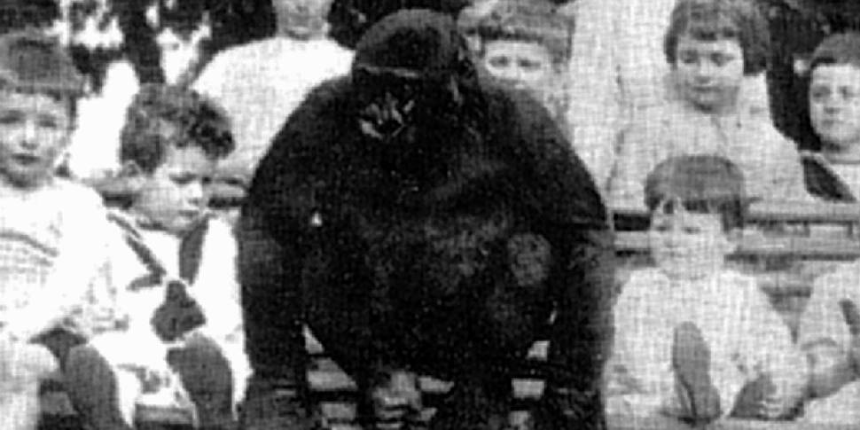 John Daniel, the Gorilla of Ul...