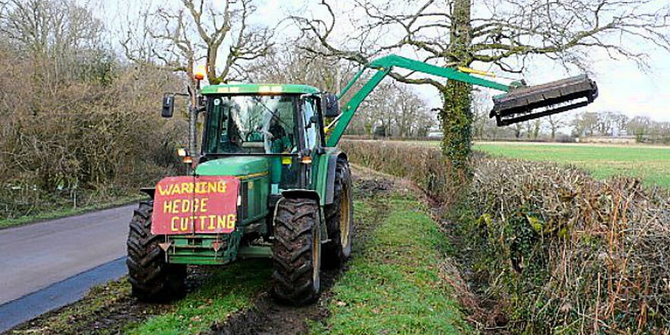 Hedge cutting to stop as of to...