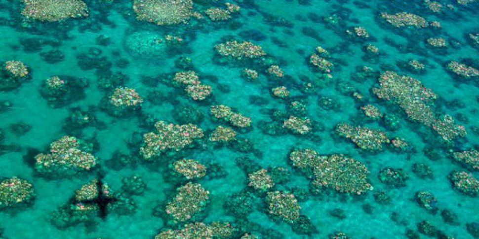 Great Barrier Reef is at a &am...