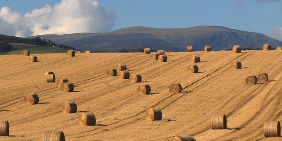 Making Hay While The Sun Shine...