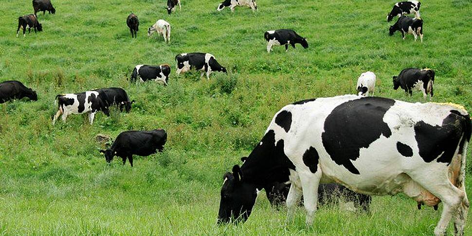 Farming with Mairead: Swimming...