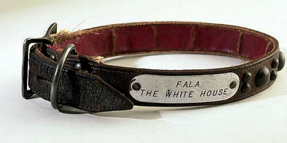 The Dog Collar Museum