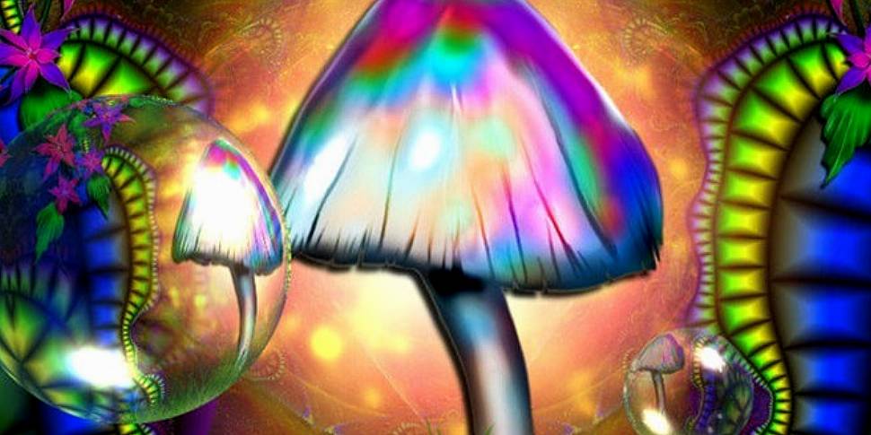 The Shroom Boom:  Legalising M...