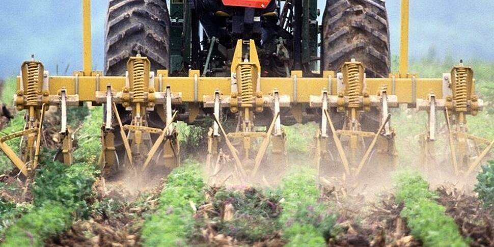 Farming: A Farm Cat Who Got A...