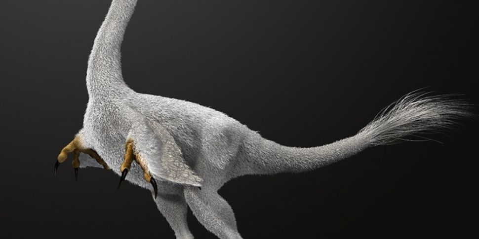 Halszkaraptor, Fake Dinosaurs...