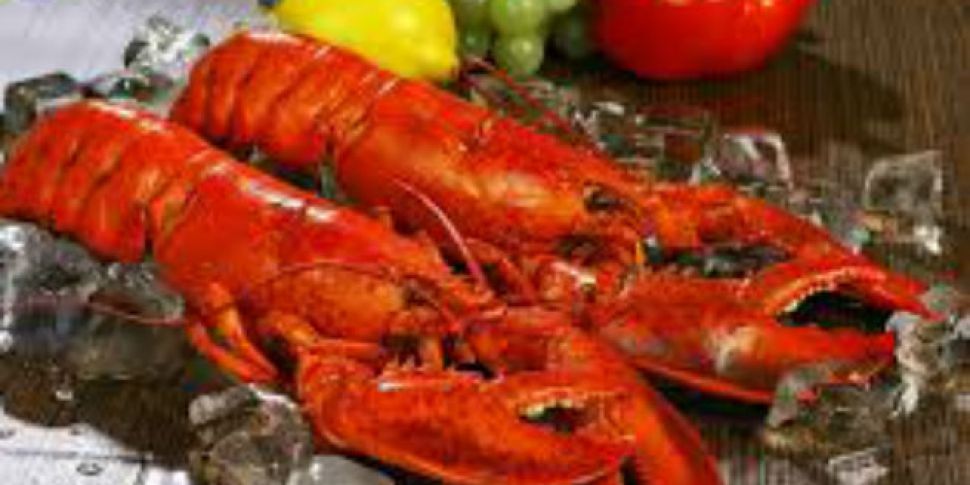 Should boiling live lobsters b...