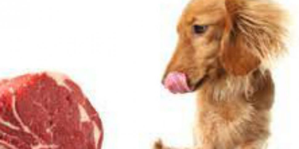 Should dogs eat raw meat?