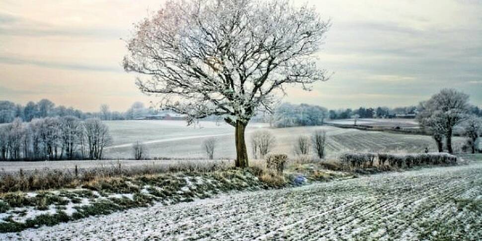 Farming: how did Storm Emma im...